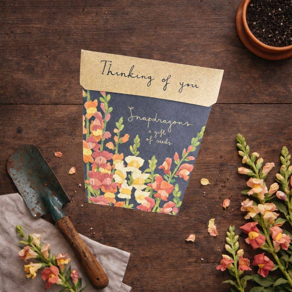 Gift of Seeds // Thinking of You