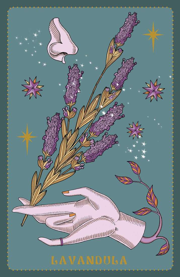 Oracle // Herbarium
