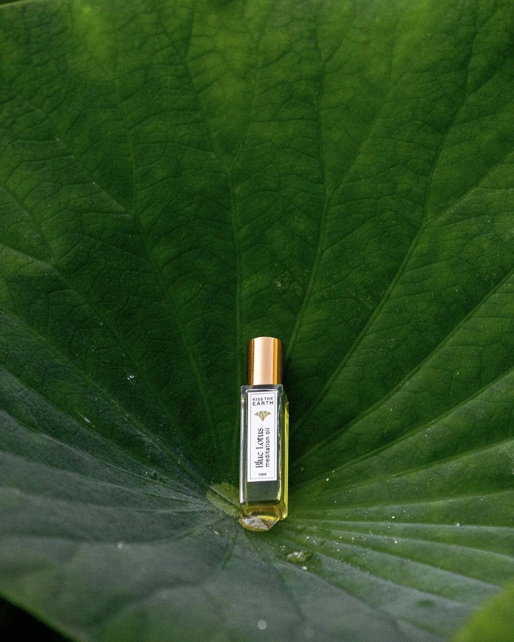 Meditation Oil // Blue Lotus // 10ml