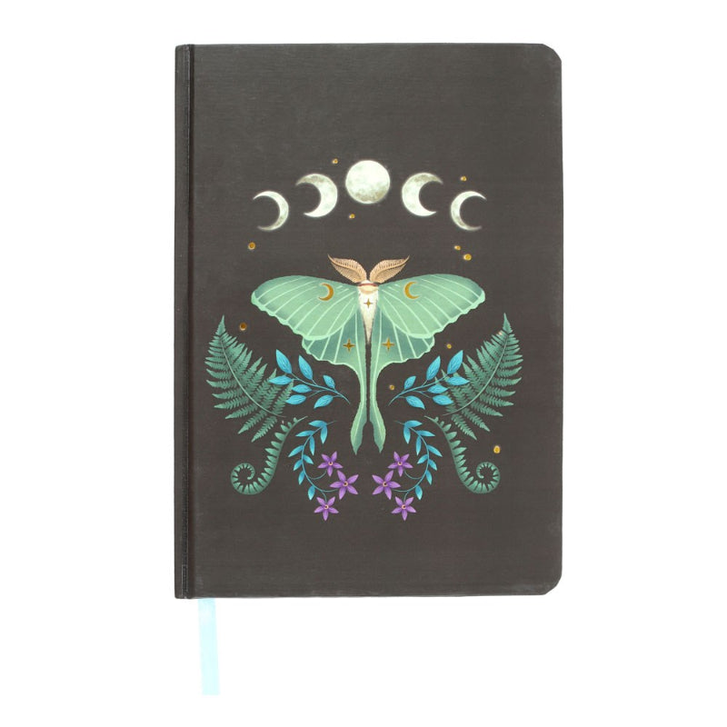 Journal // Luna Moth