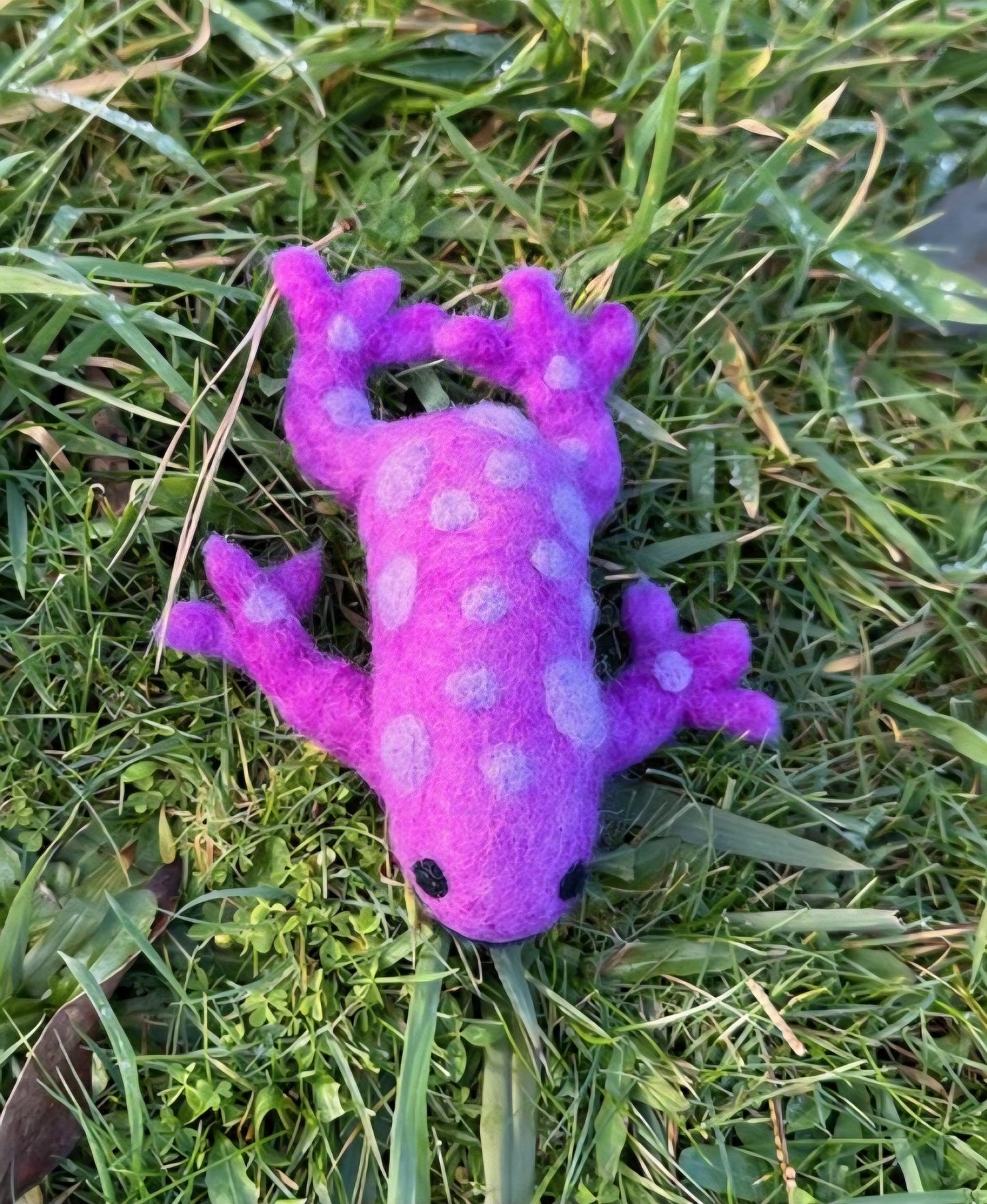 Felt // Frog