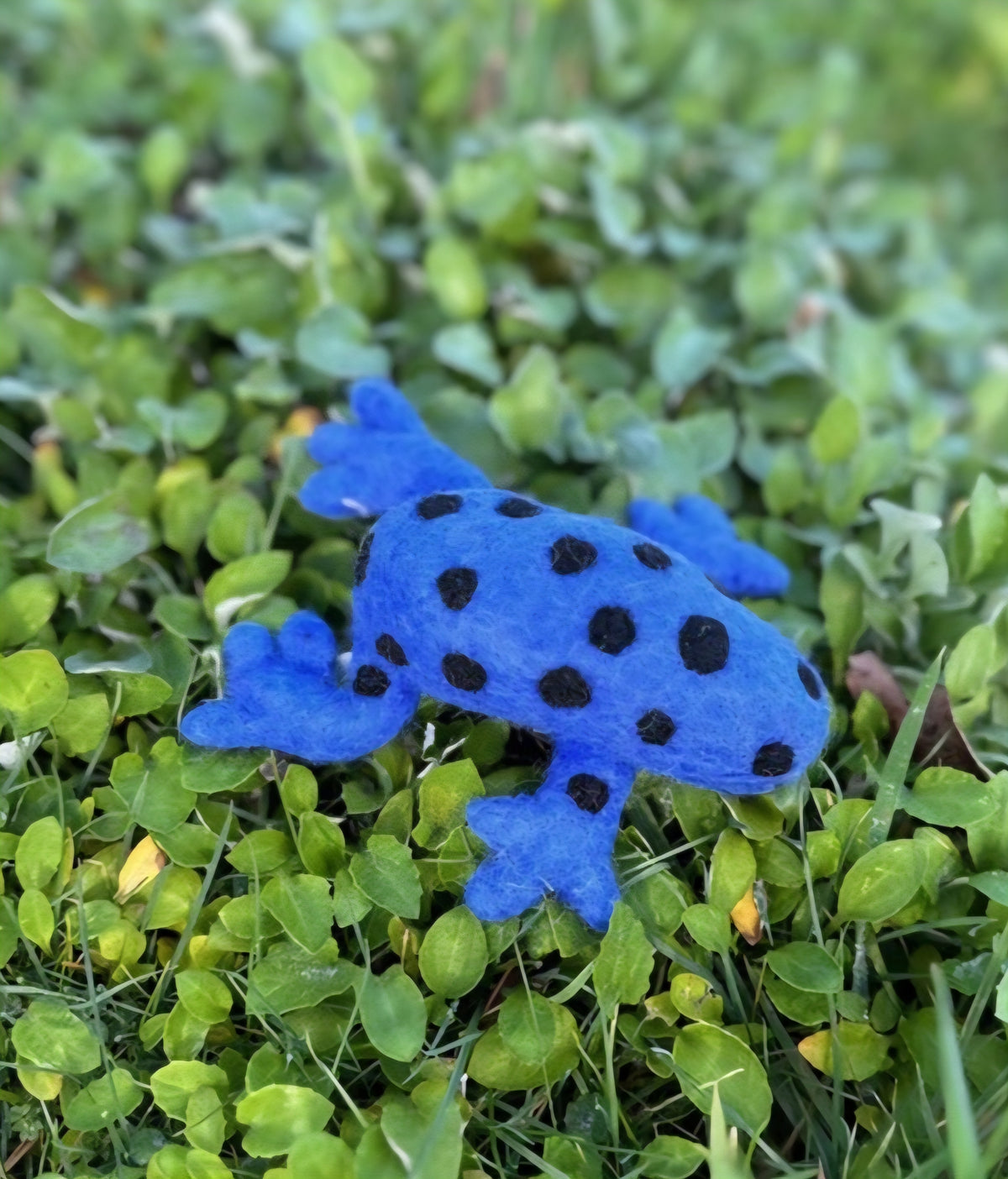 Felt // Frog