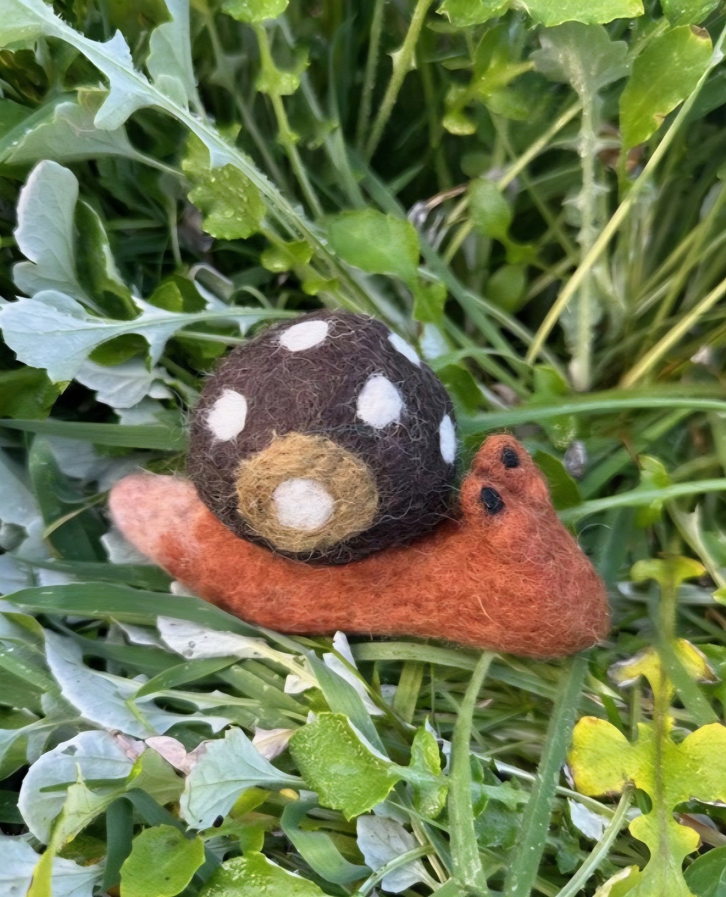 Felt // Snail