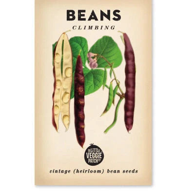 Beans Climbing 'Scarlett Runner' Heirloom Seeds