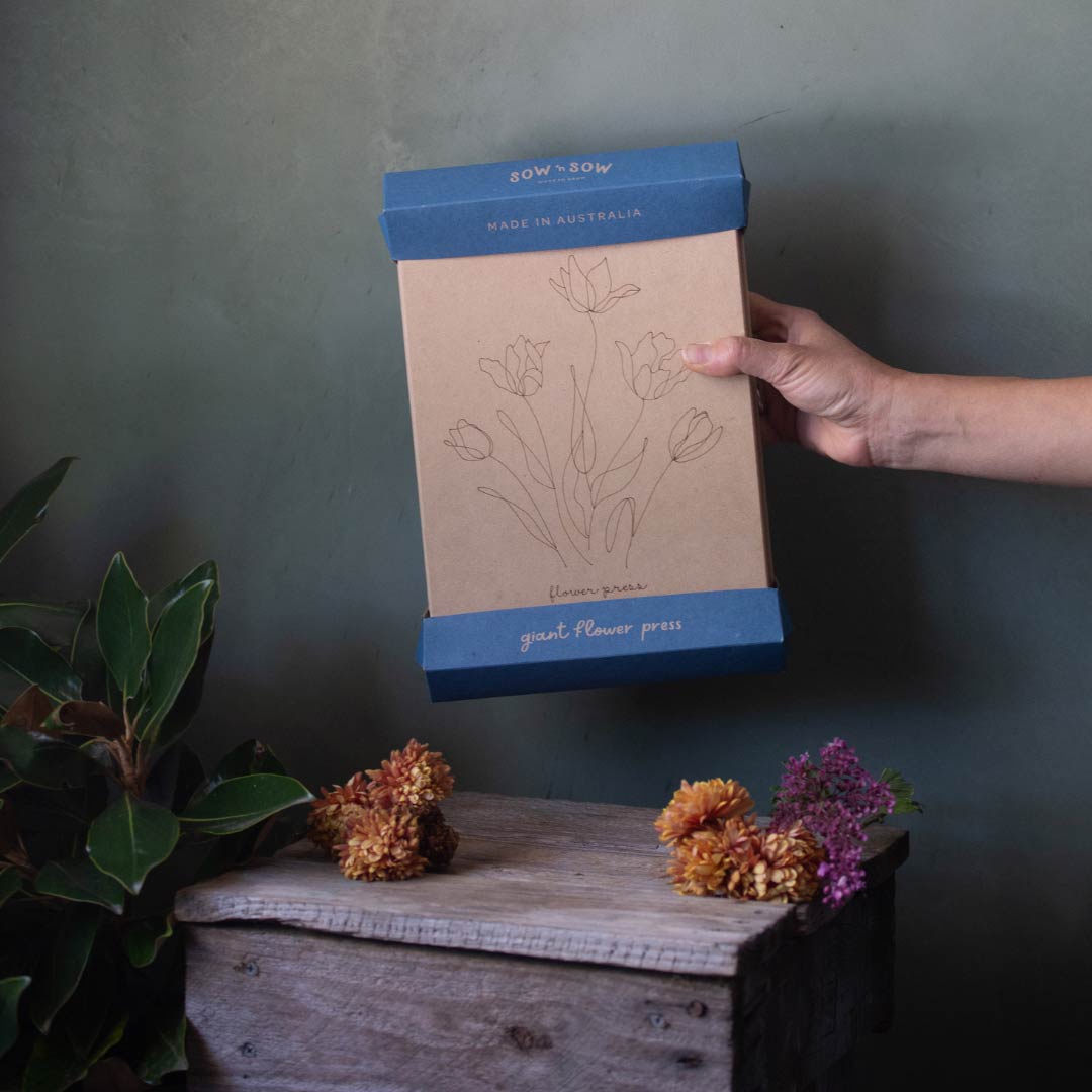 Flower Press Giant - Tulip