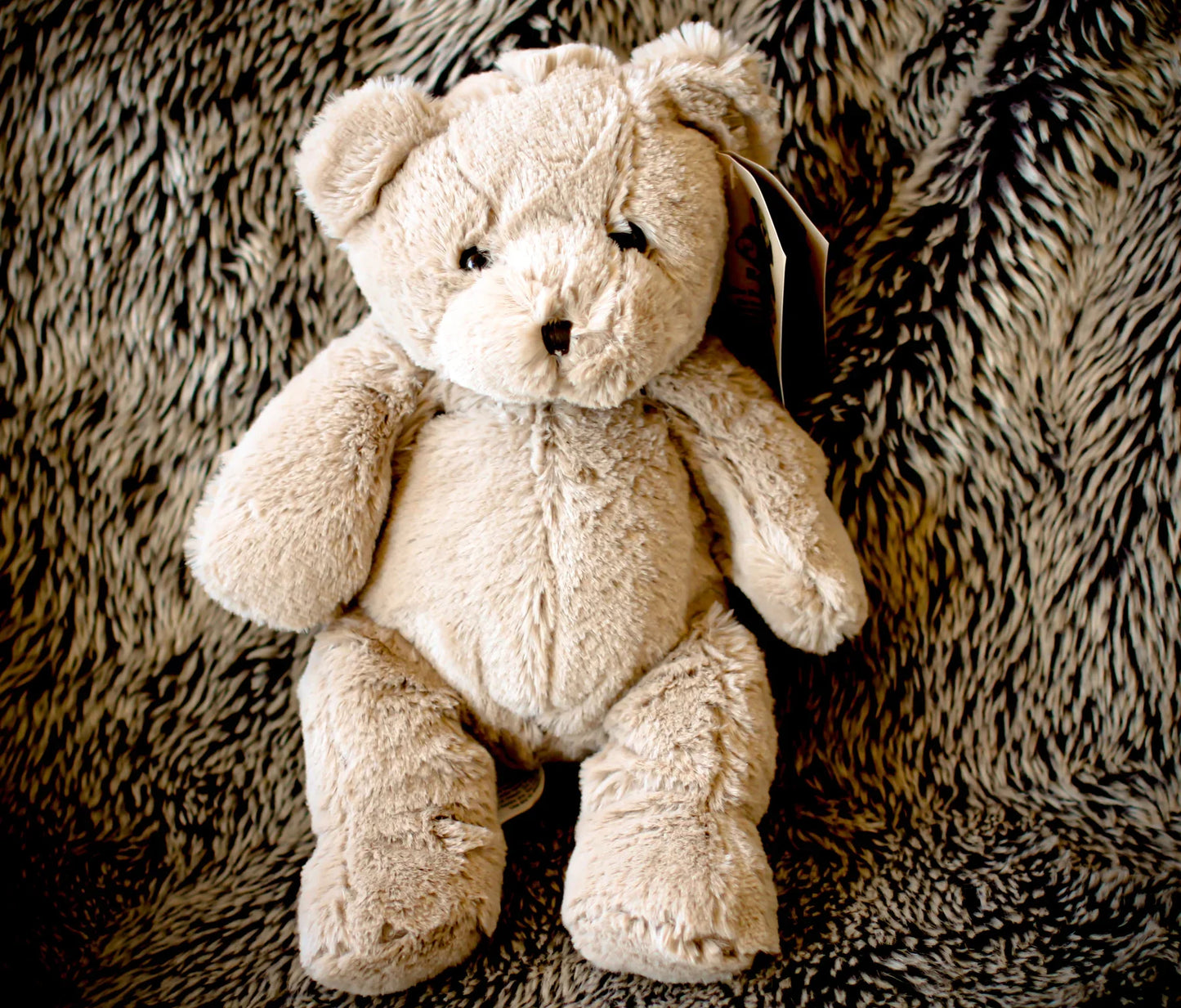 Milti the Orgone Ener-Bear