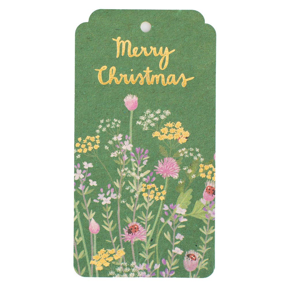 Merry Christmas Gift Tag - 10 Pack