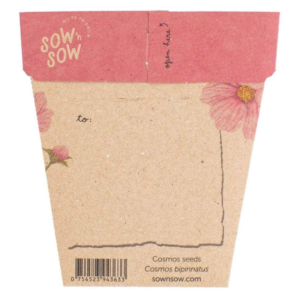 Gift of Seeds // Blooming Beautiful