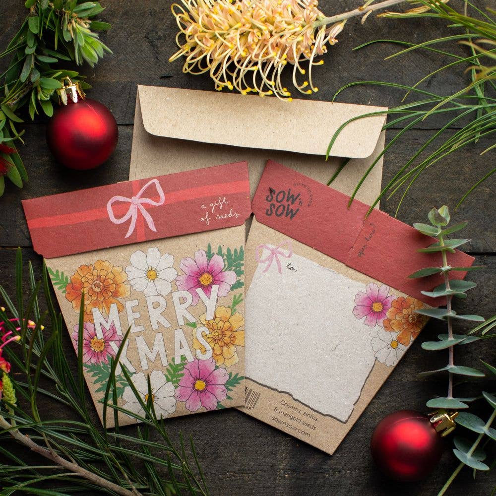 Xmas Blooms Gift of Seeds