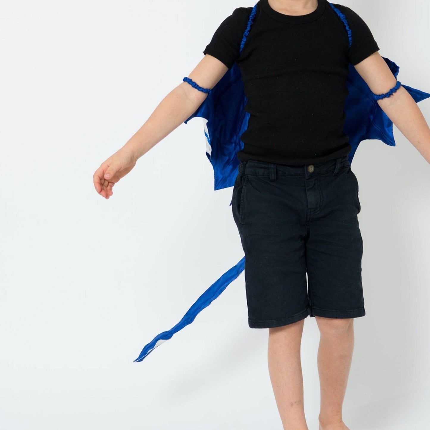 Dragon Trainer Cape Pack of 4 Mixed Colours