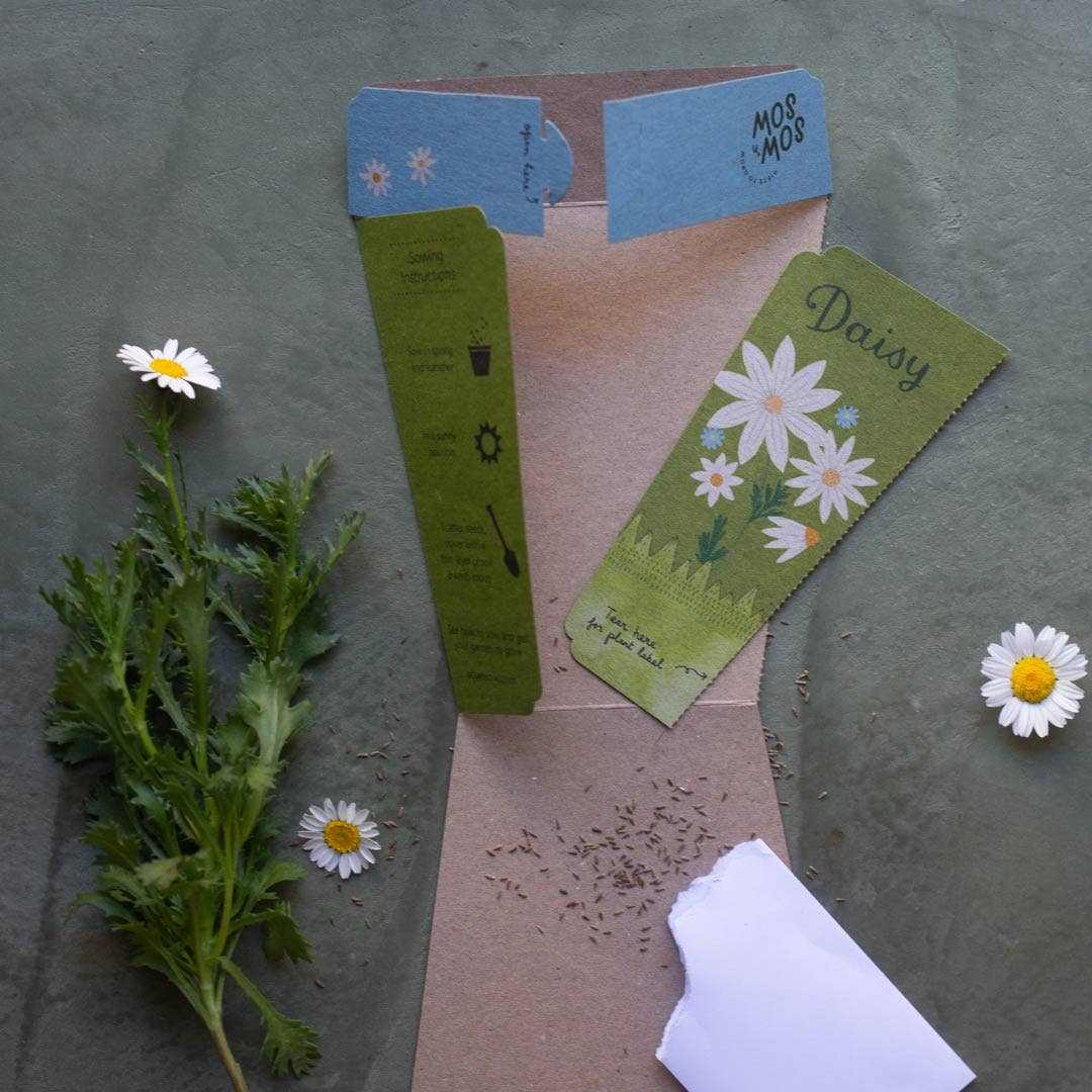 Daisy Gift of Seeds (Australia Only)