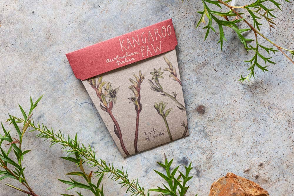 Kangaroo Paw Gift of Seeds (Australia Only)