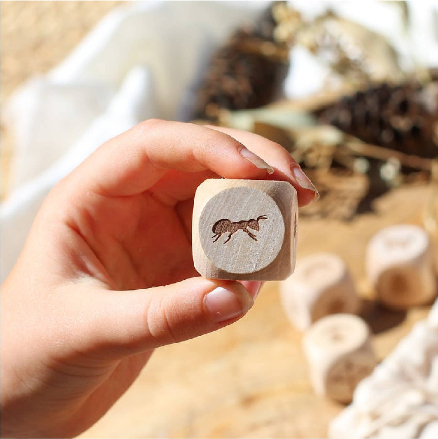 Nature Story Cubes Mini