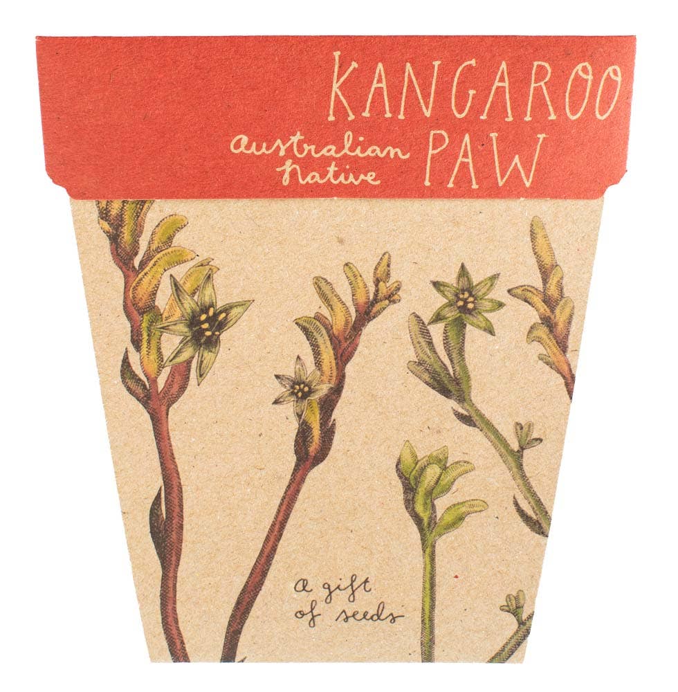 Kangaroo Paw Gift of Seeds (Australia Only)