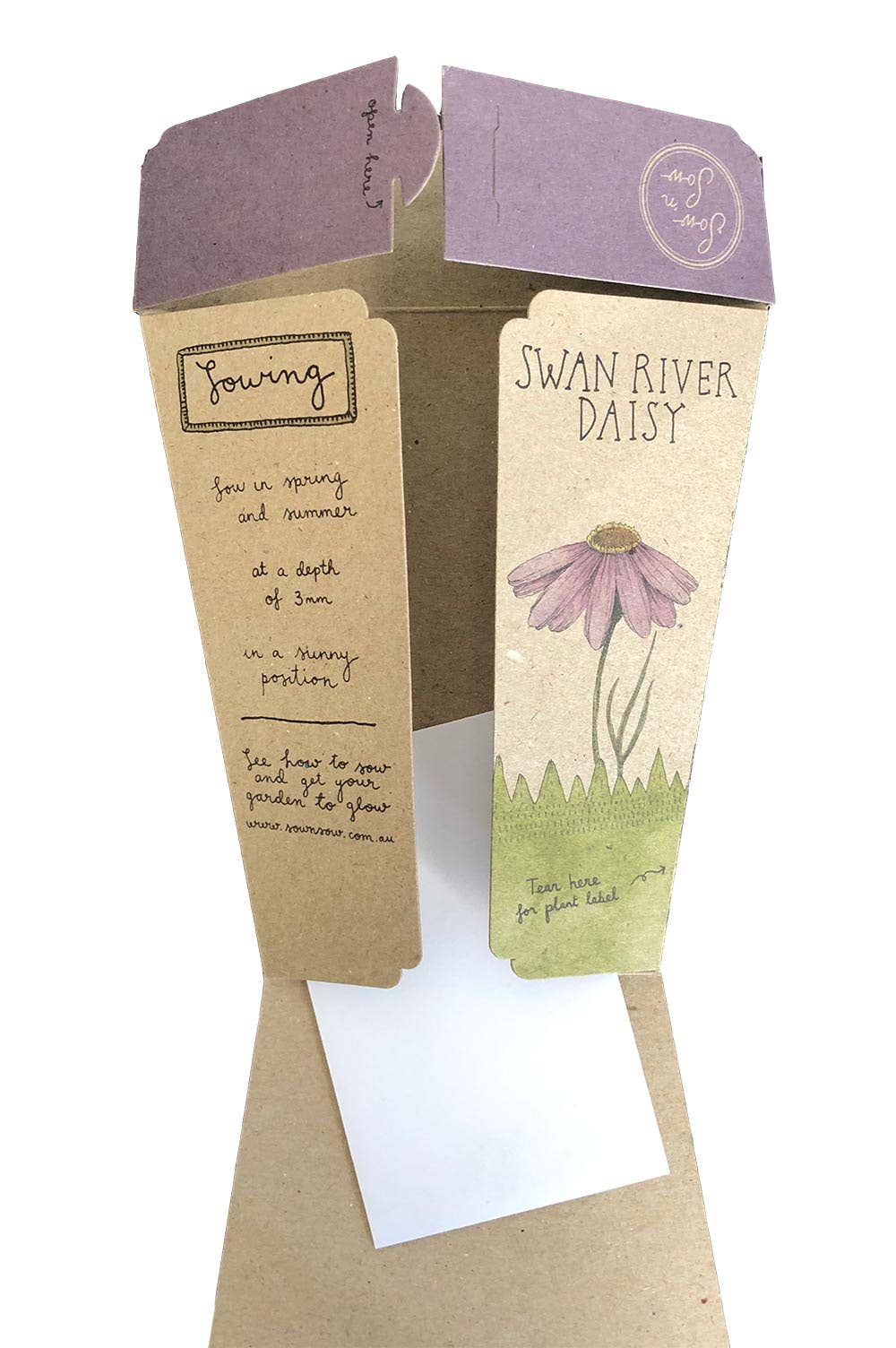 Swan River Daisy Gift of Seeds (Australia Only)