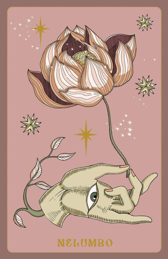 Oracle // Herbarium