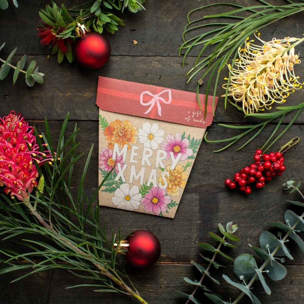 Xmas Blooms Gift of Seeds