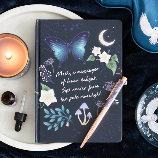 Journal // Midnight Moth With Amethyst Pen