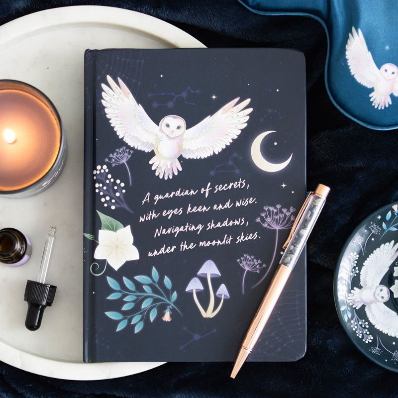 Journal // Night Owl With Sodalite Pen