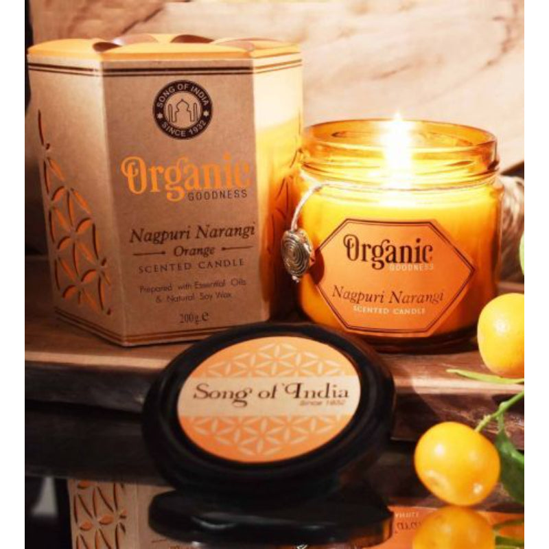 Organic Goodness // Orange Soy Candle // 200GMS