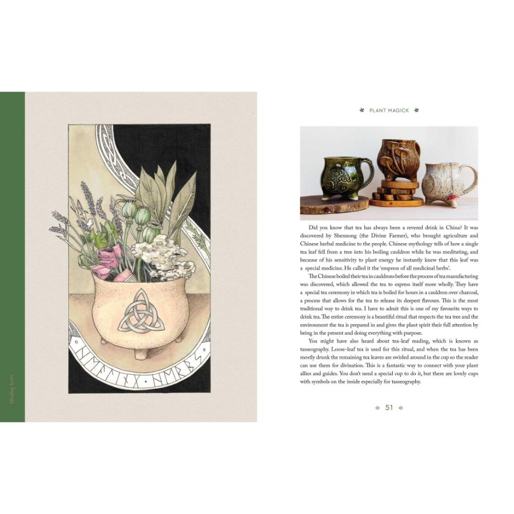 Book // Celtic Cauldron