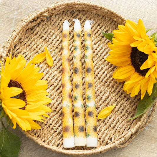 Candle // Set Of 3 Sunflower Taper