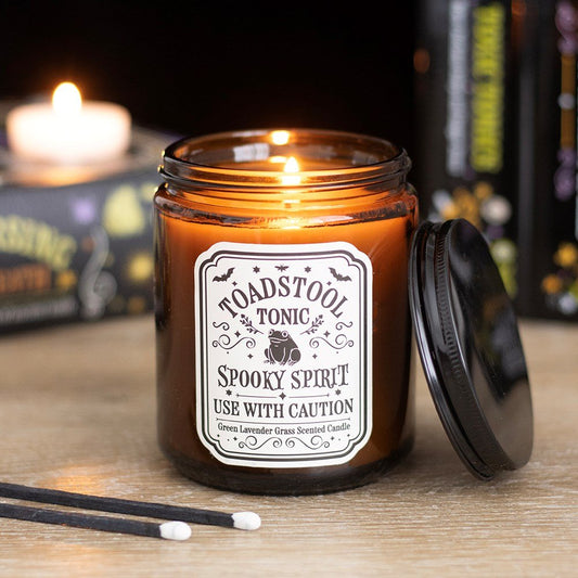 Candle // Toadstool Tonic Lavender Grass