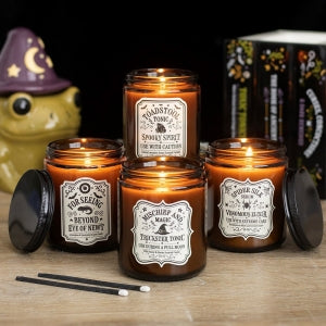 Candle // Toadstool Tonic Lavender Grass
