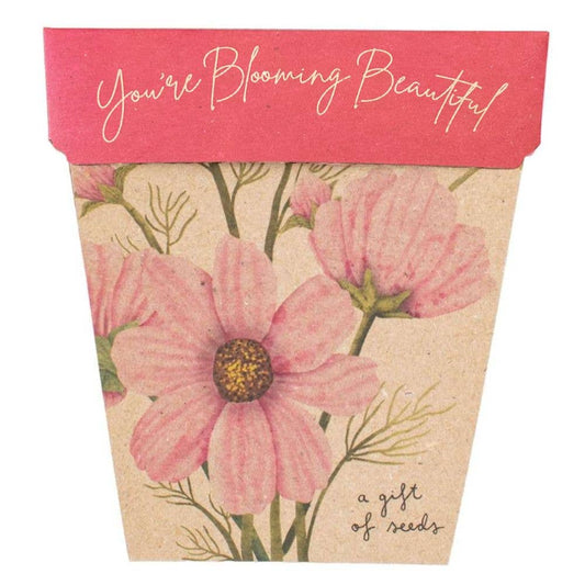 Gift of Seeds // You're Blooming Beautiful