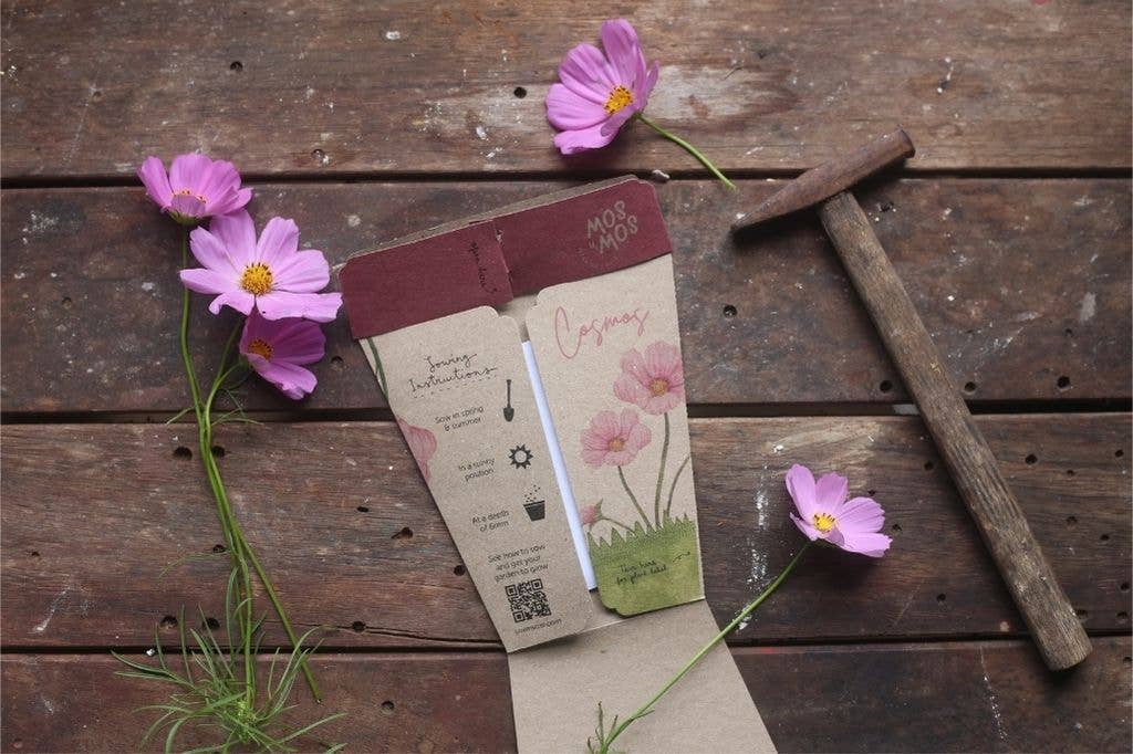 Gift of Seeds // Blooming Beautiful