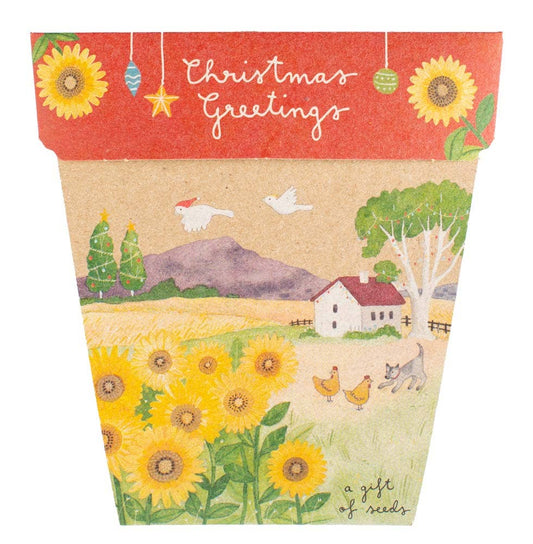 Christmas Sunflower Gift of Seeds (Australia only)