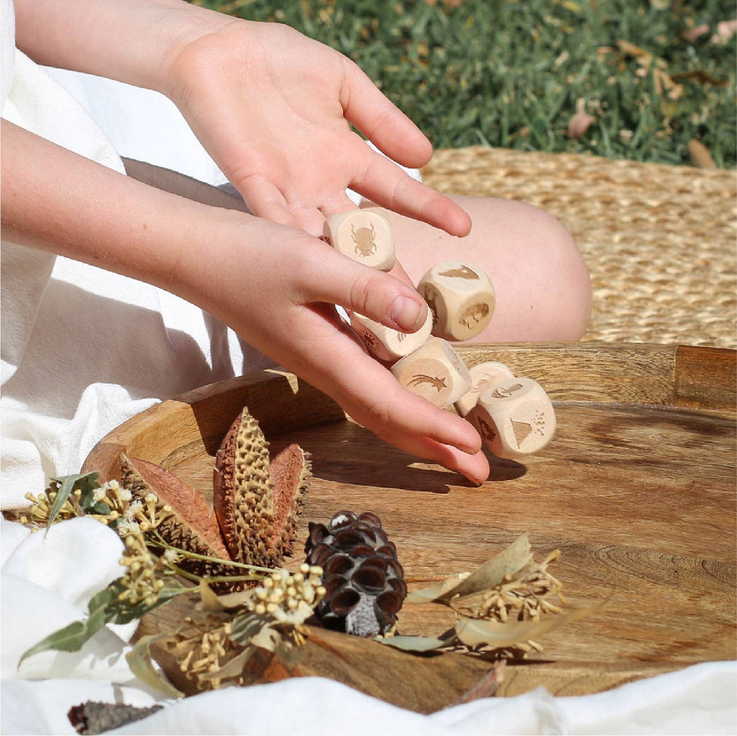 Nature Story Cubes Mini