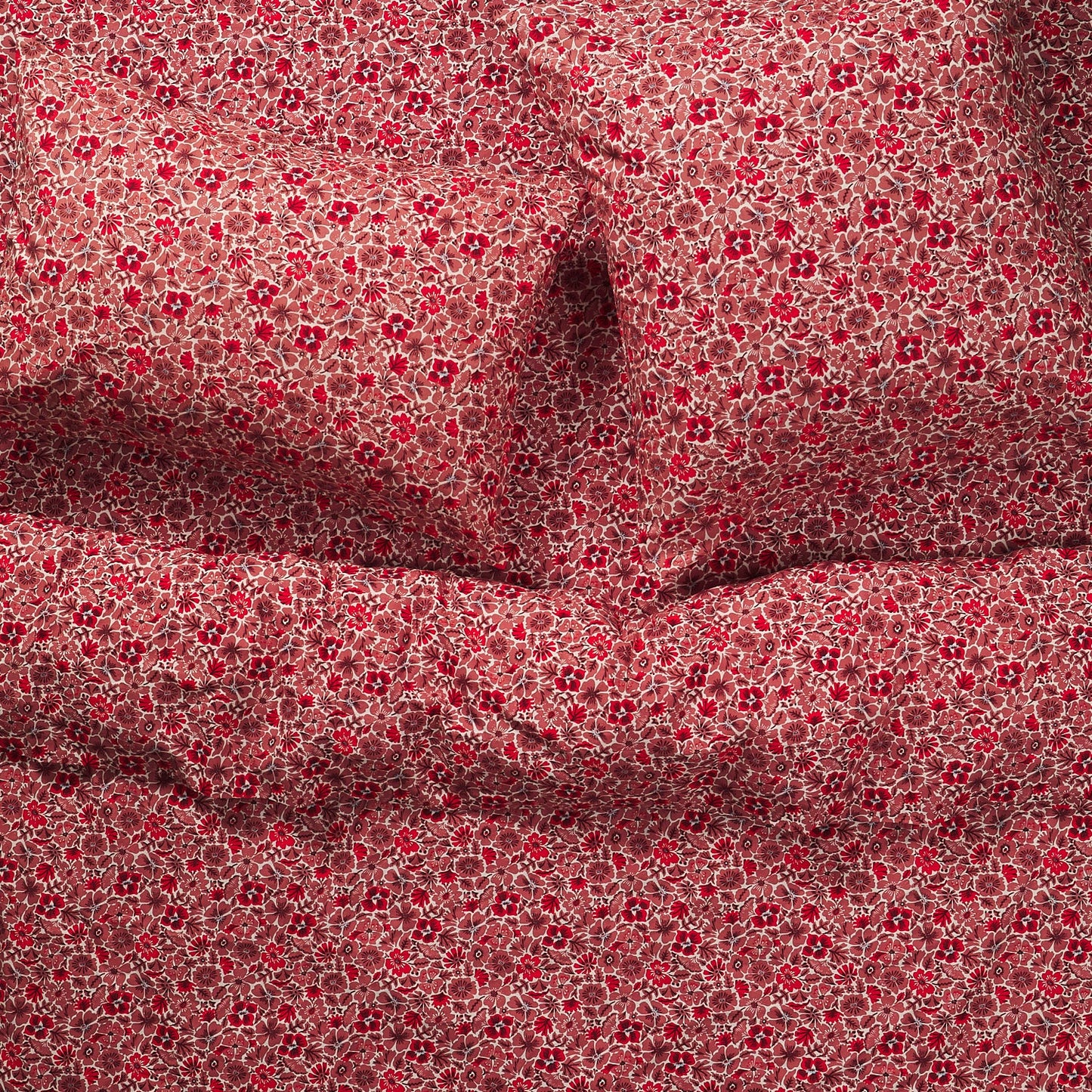 Magnolia Cotton Sheets - Poppy Fitted Sheet / Cot