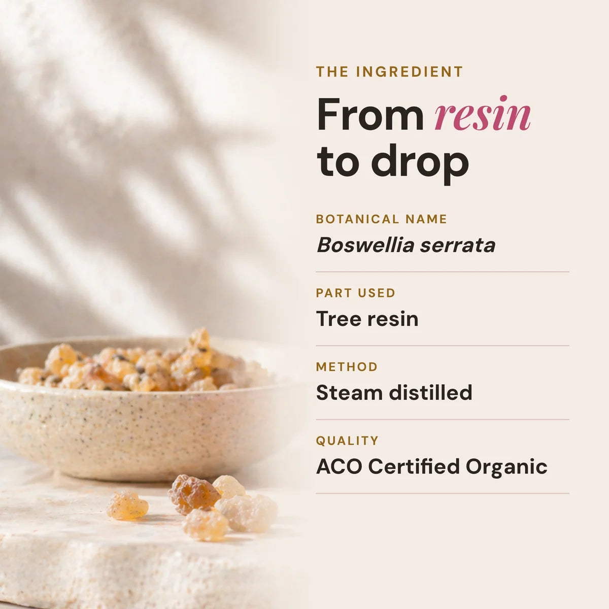 Lively Living // Frankincense ACO Certified Organic Essential Oil // 15ml