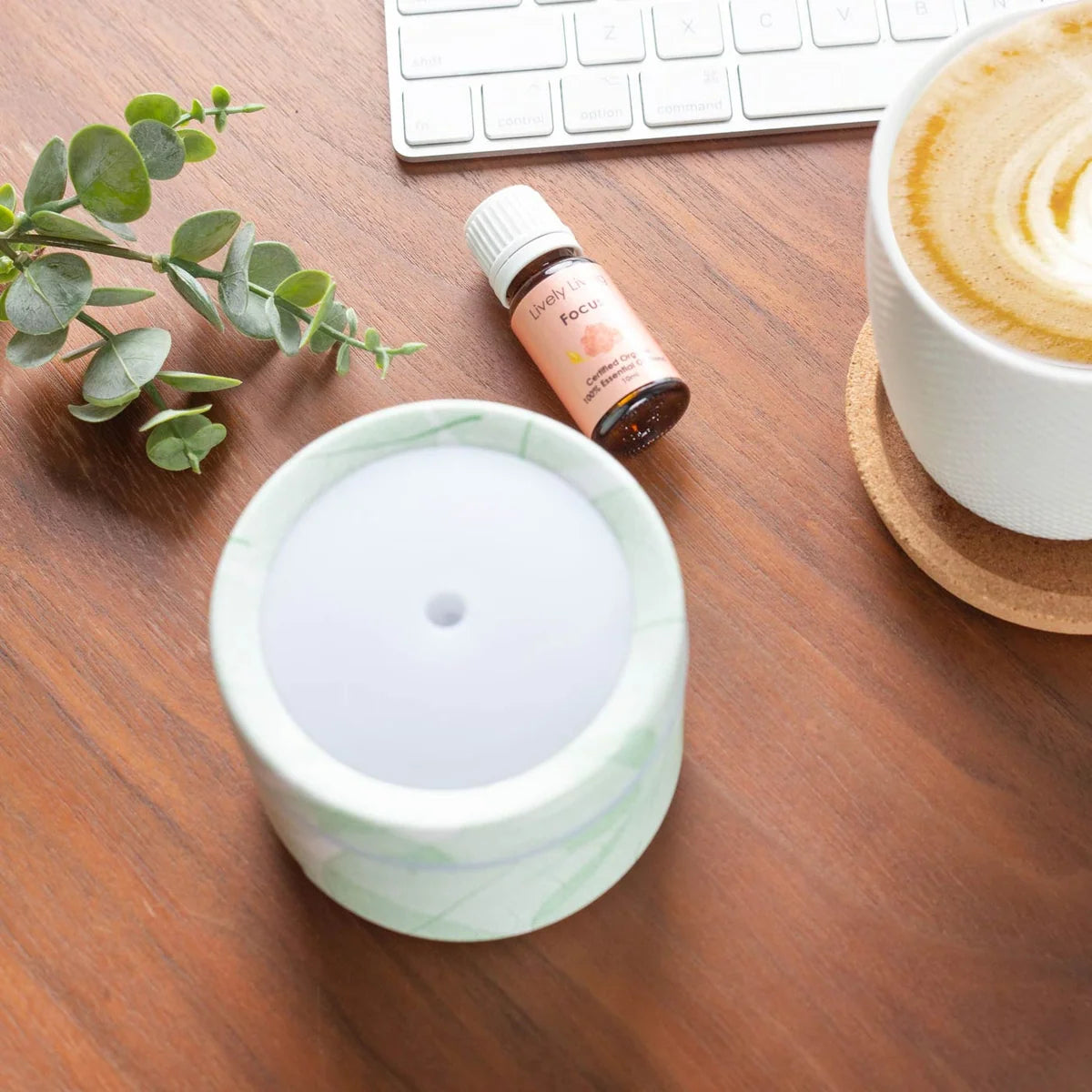 Lively Living // Aroma-Mod Travel Diffuser