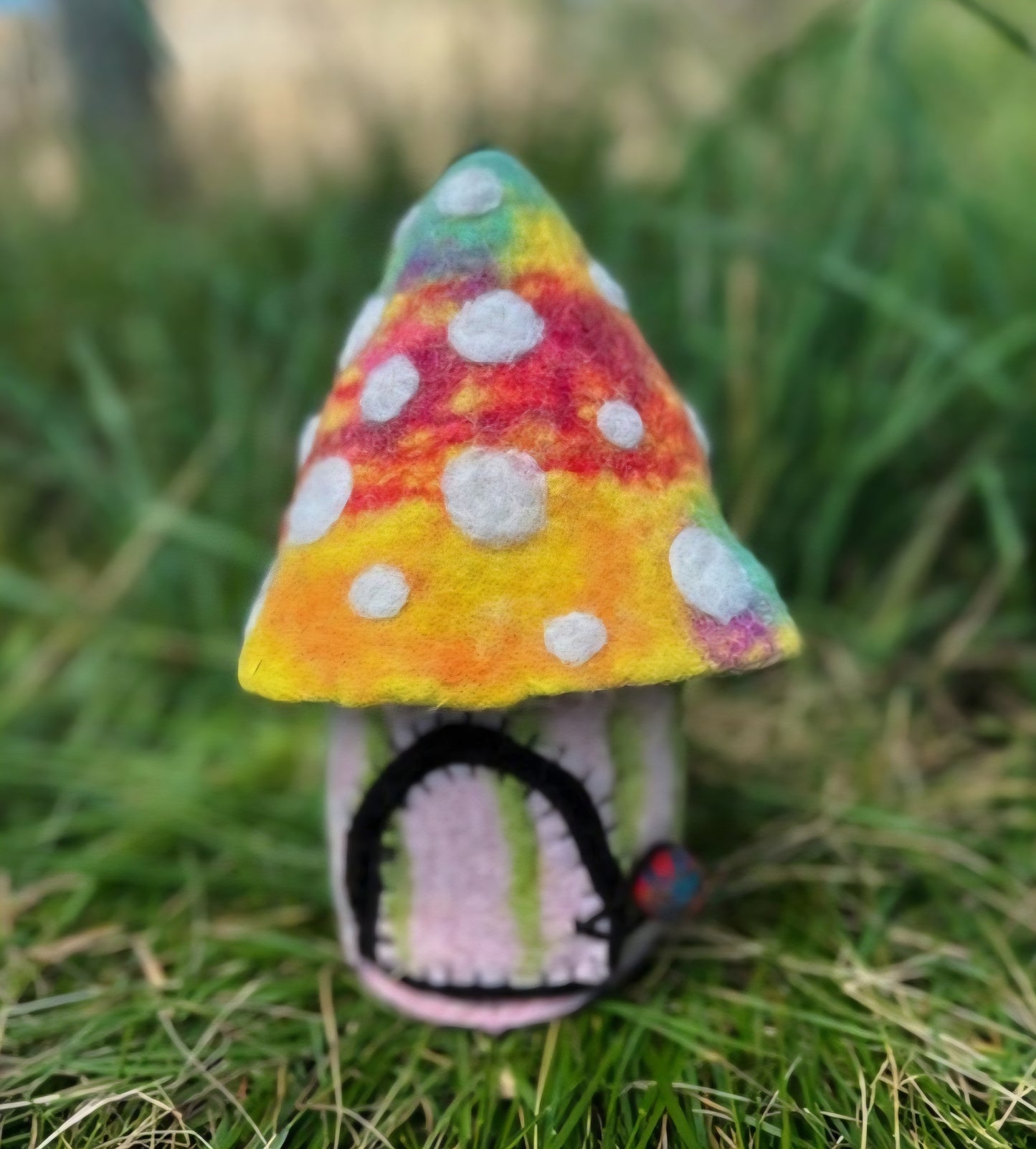 Felt // Funky Toadstool // Rainbow