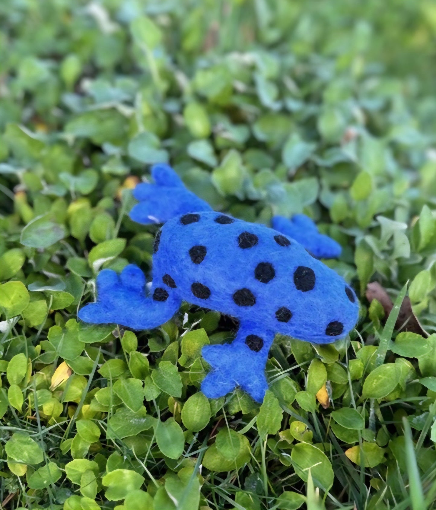 Felt // Frog