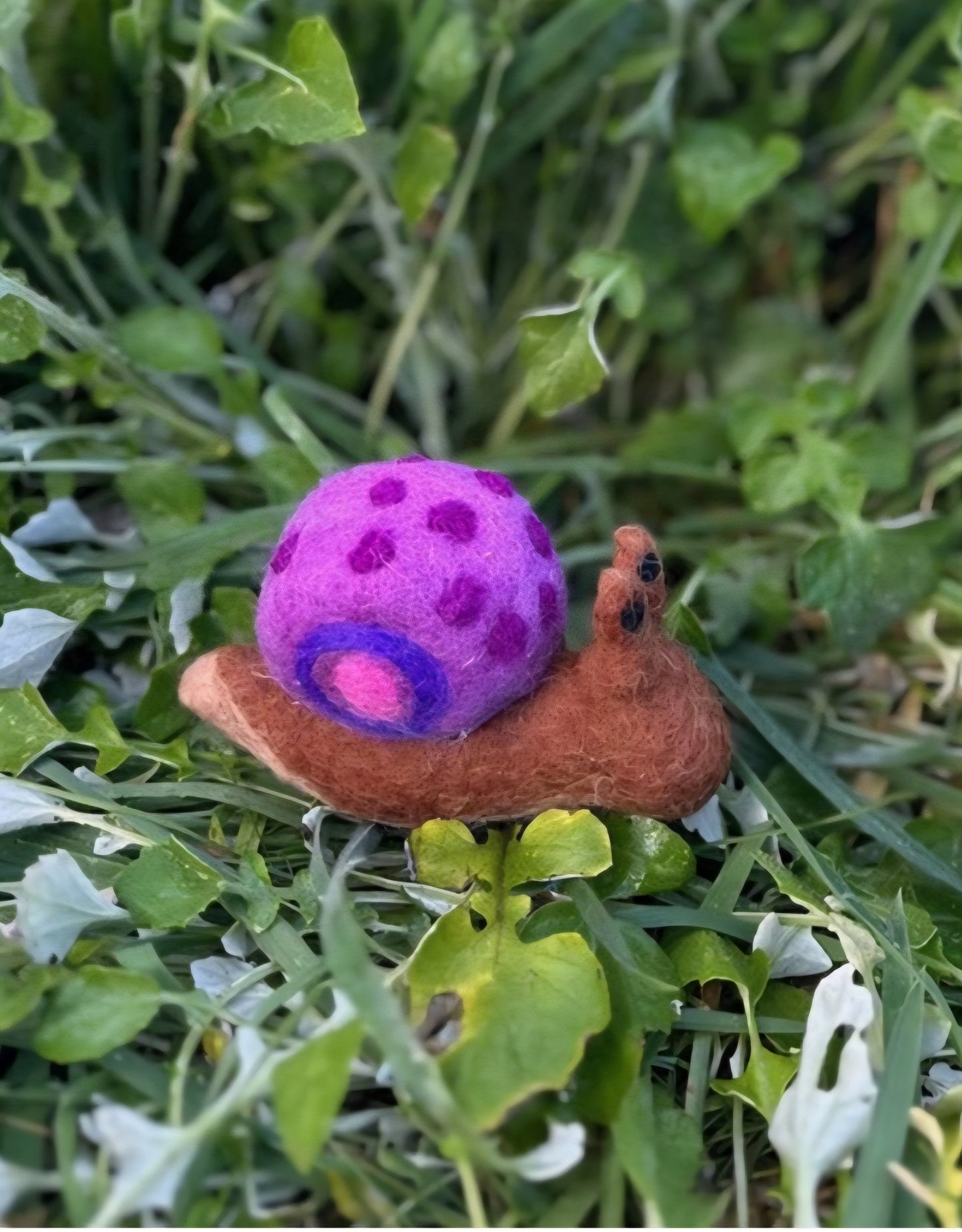 Felt // Snail