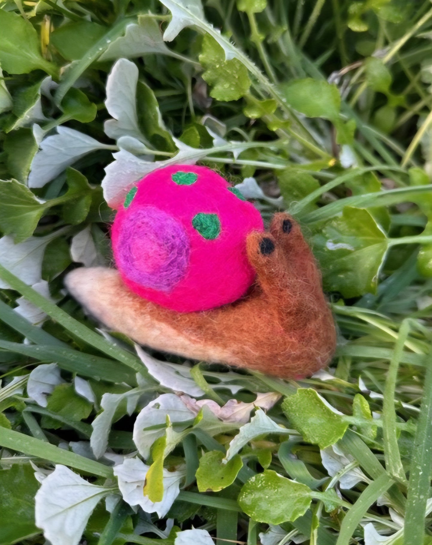 Felt // Snail
