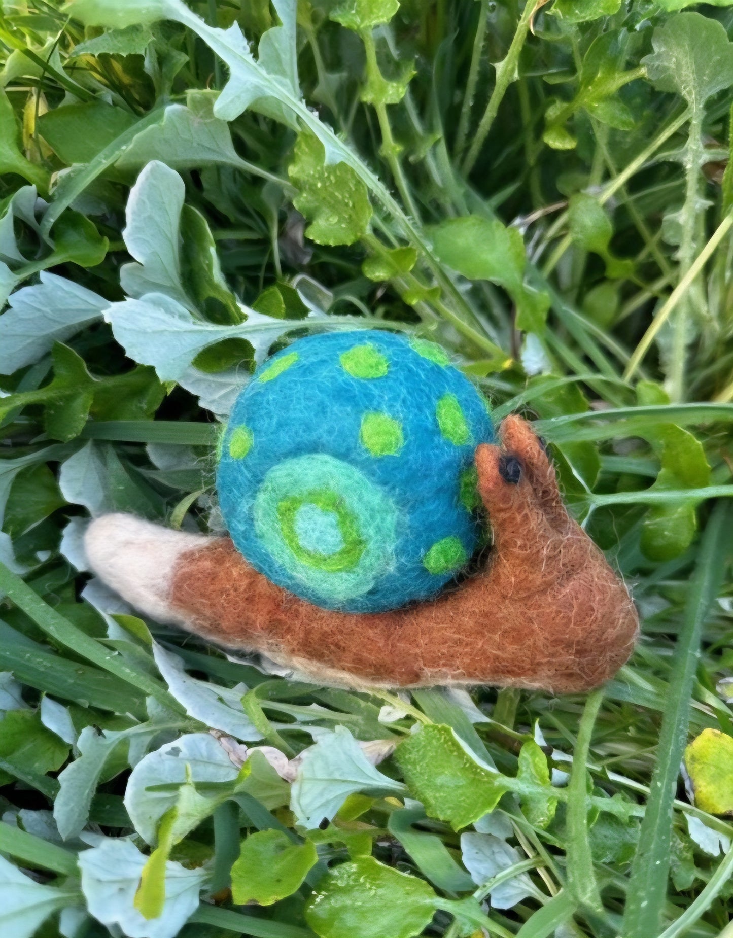 Felt // Snail