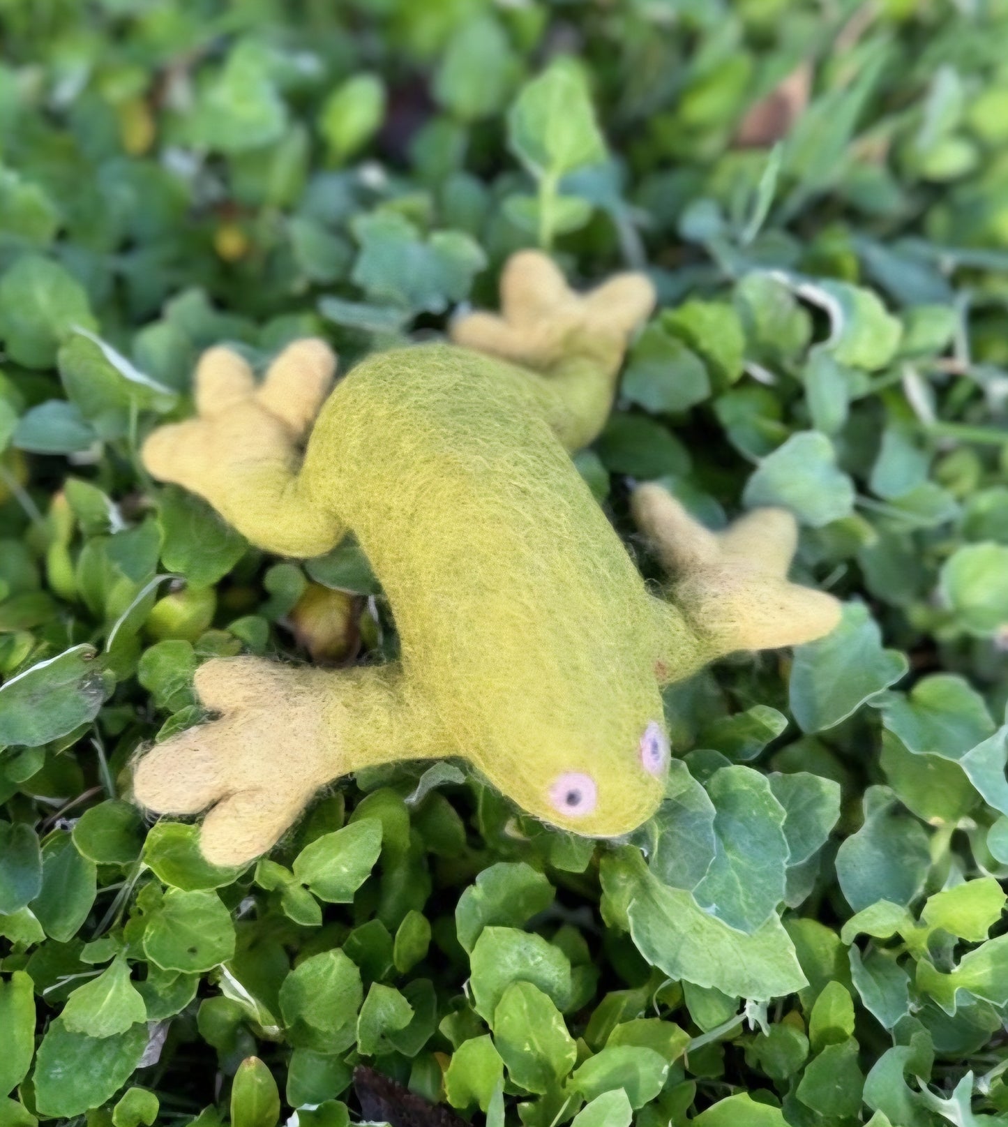 Felt // Frog