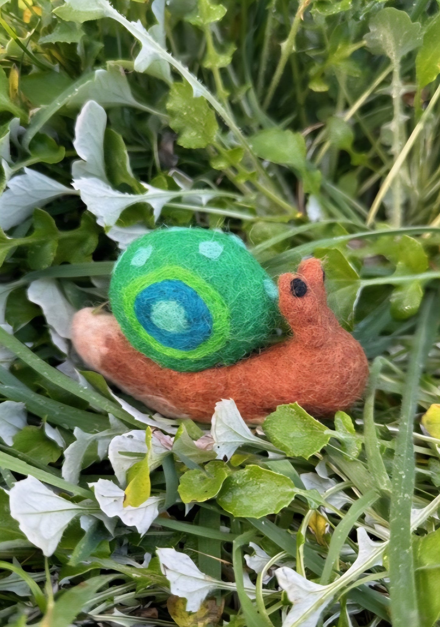 Felt // Snail