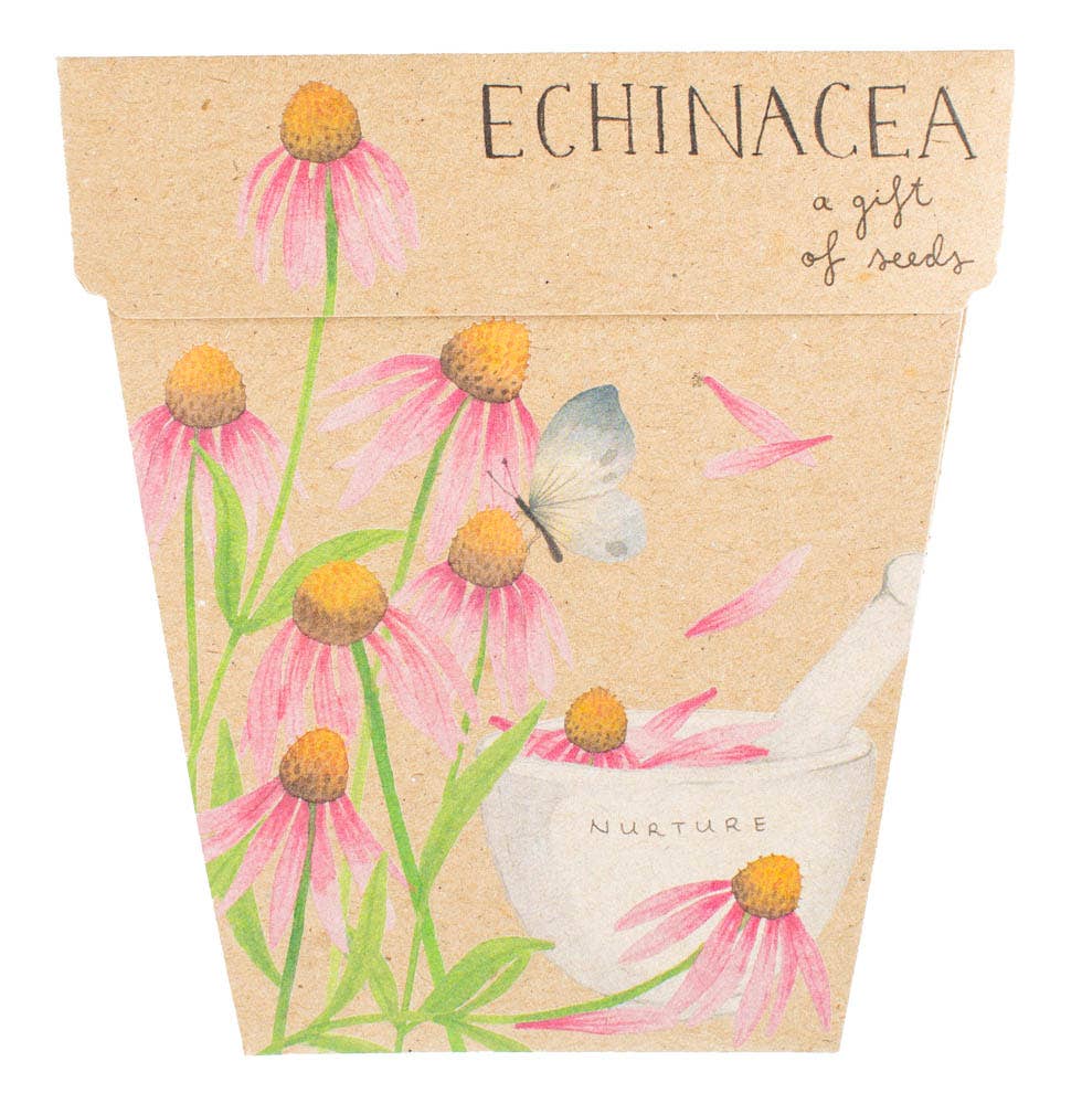 Echinacea Gift of Seed (Australia Only)