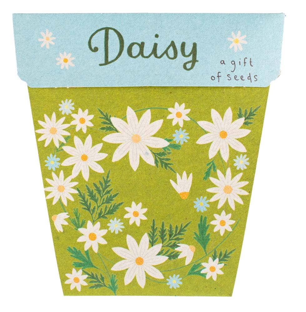 Daisy Gift of Seeds (Australia Only)