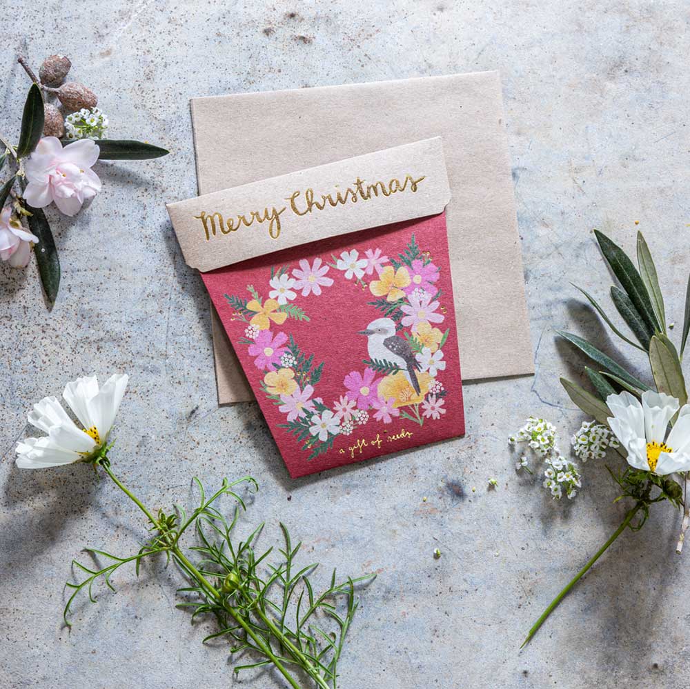 Christmas Wildflowers Gift of Seeds (Australia only)