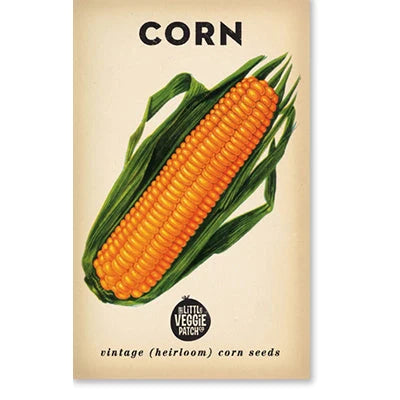 Corn 'Sweet' Heirloom Seeds