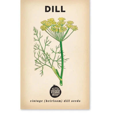 Organic Dill 'Common' Heirloom Seeds