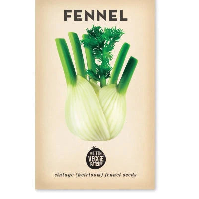 Fennel 'Florence' Heirloom Seeds
