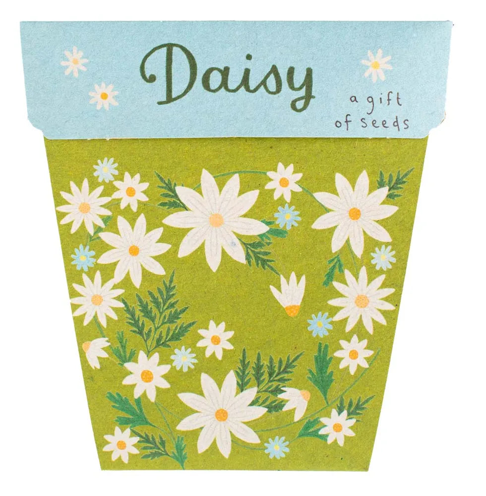 Gift Of Seeds - Daisy
