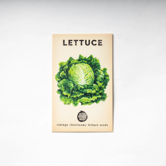 Lettuce "Boston" Heirloom Seeds